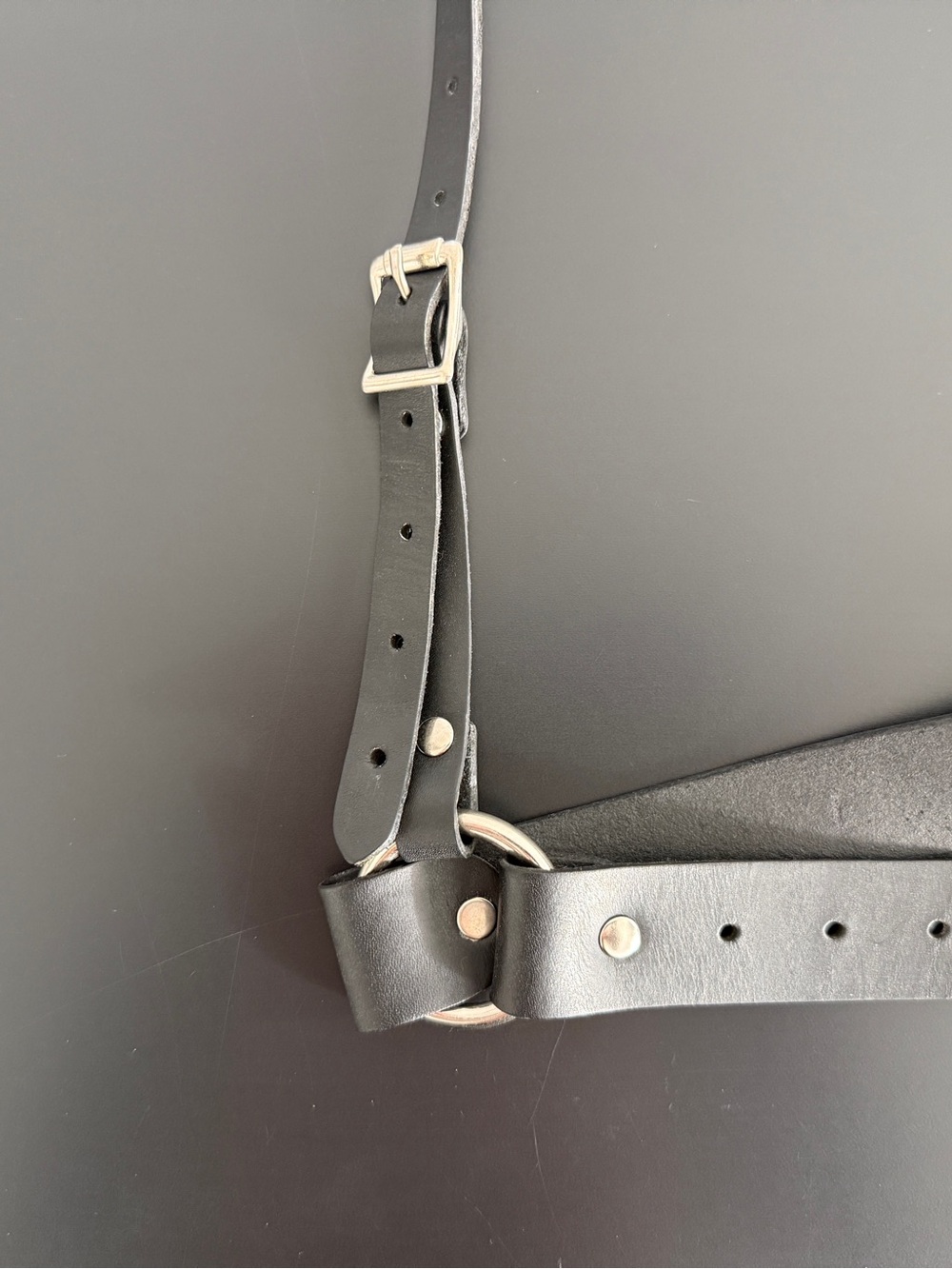 ZANA BAYNE - Signature Harness SIZE M - Black Leather Harness - Picture 4 of 7
